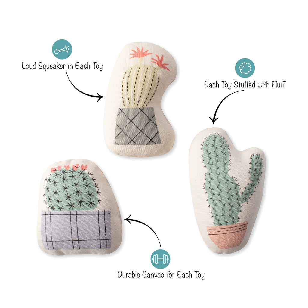 Cactus Mini Toys