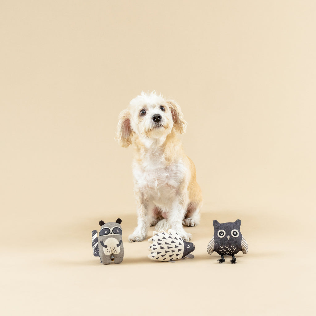 Wild Ones Mini Toys