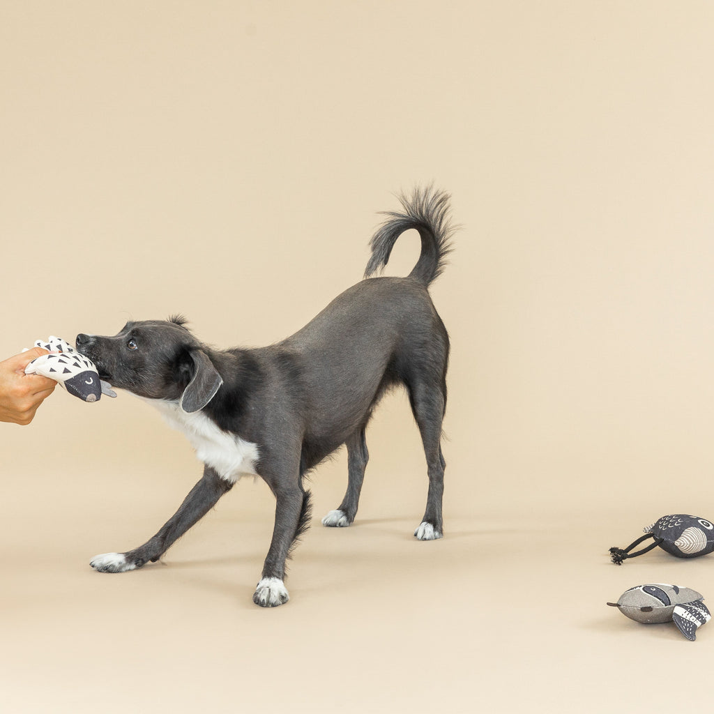 Wild Ones Mini Toys