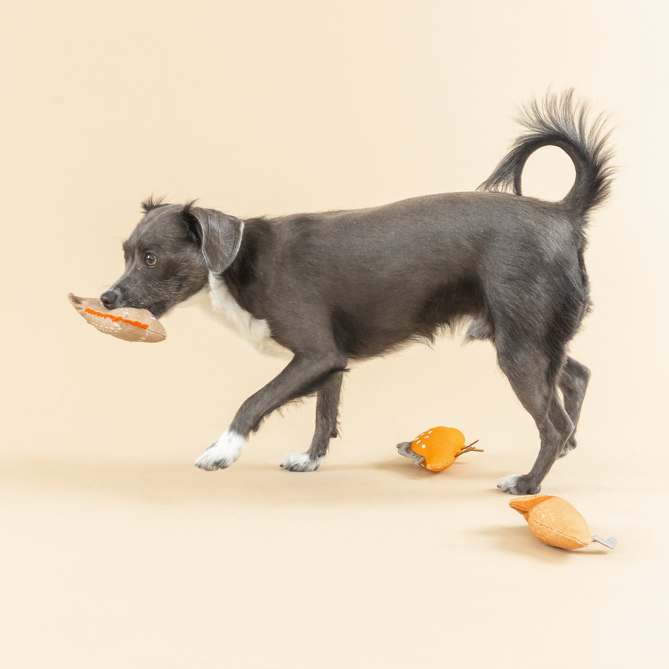 We Came. We Saur. 3pc Mini Canvas Dog Toy Set