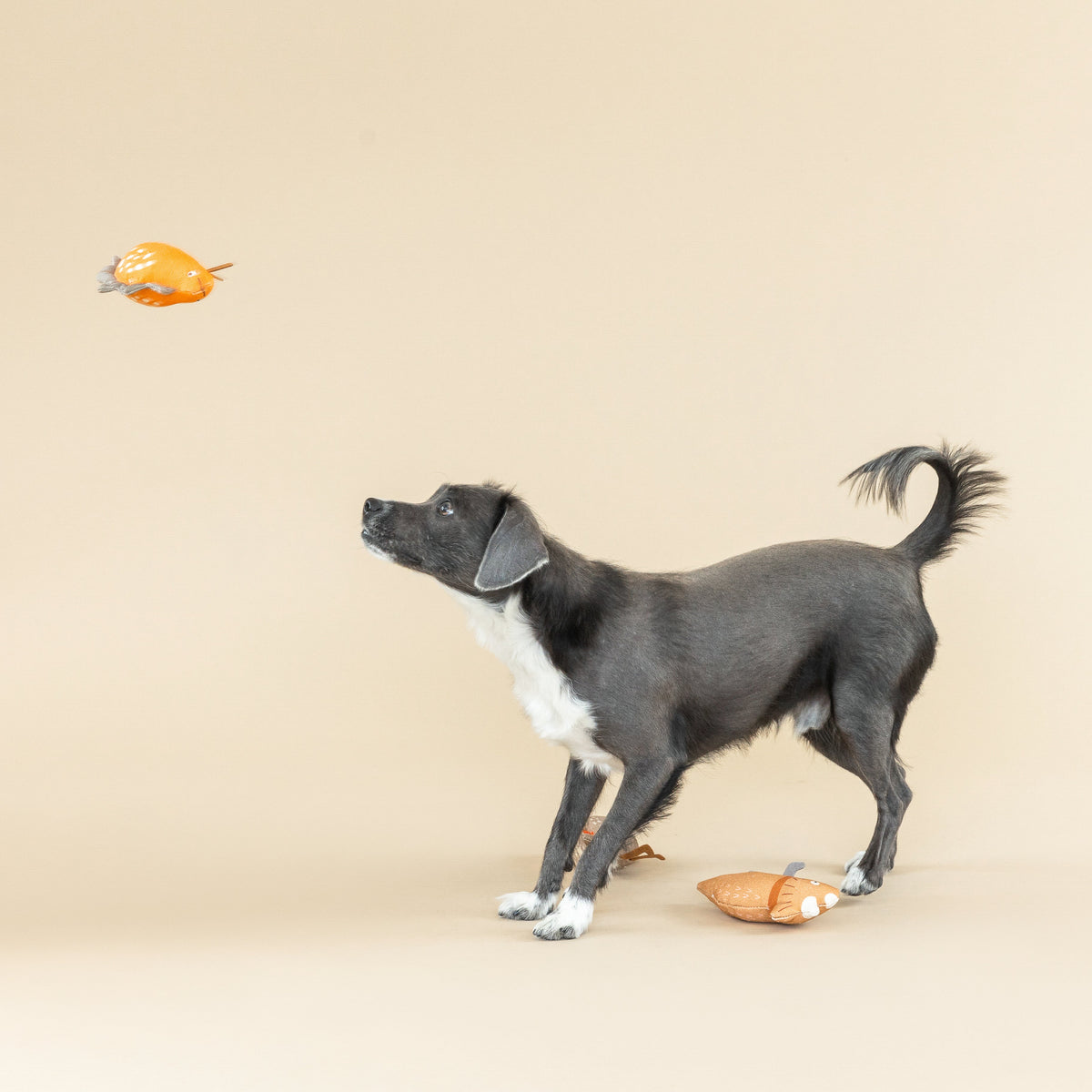 We Came. We Saur. Mini Toys