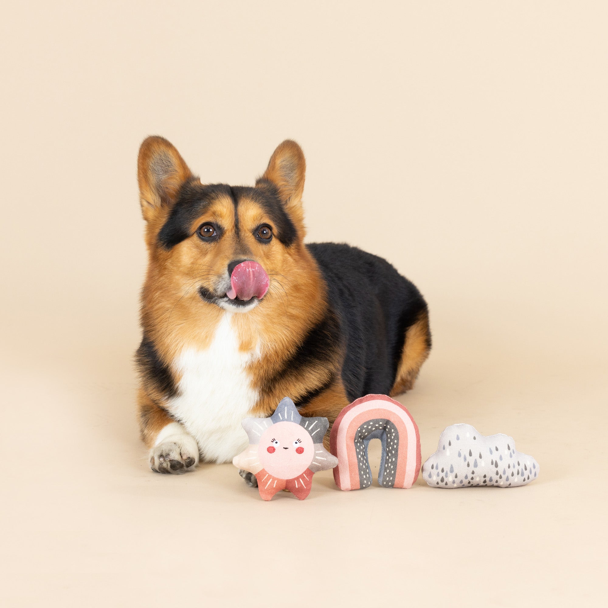 Rain Or Shine 3pc Mini Canvas Dog Toy Set