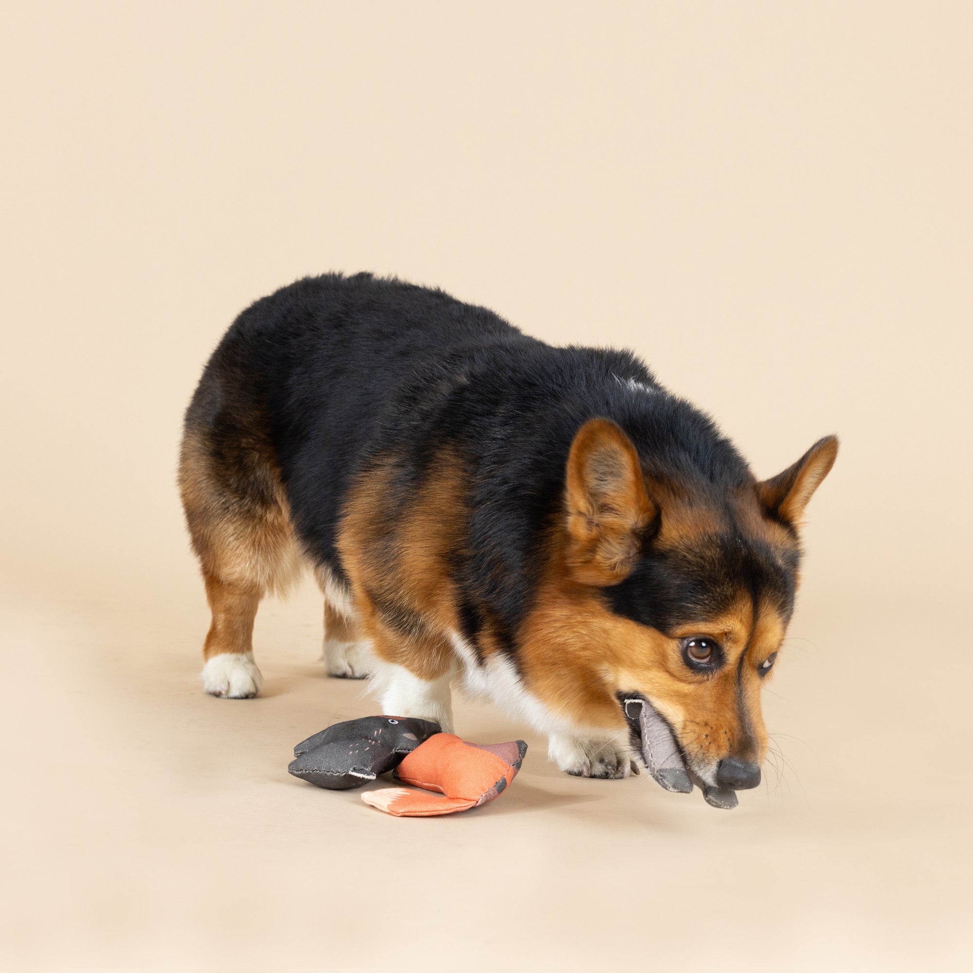 Forest Friends 3pc Mini Canvas Dog Toy Set