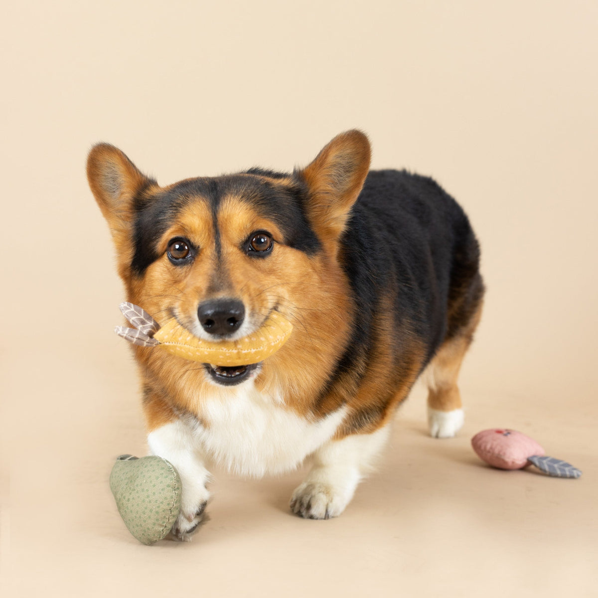 Freshly Picked  Canvas Mini Toys