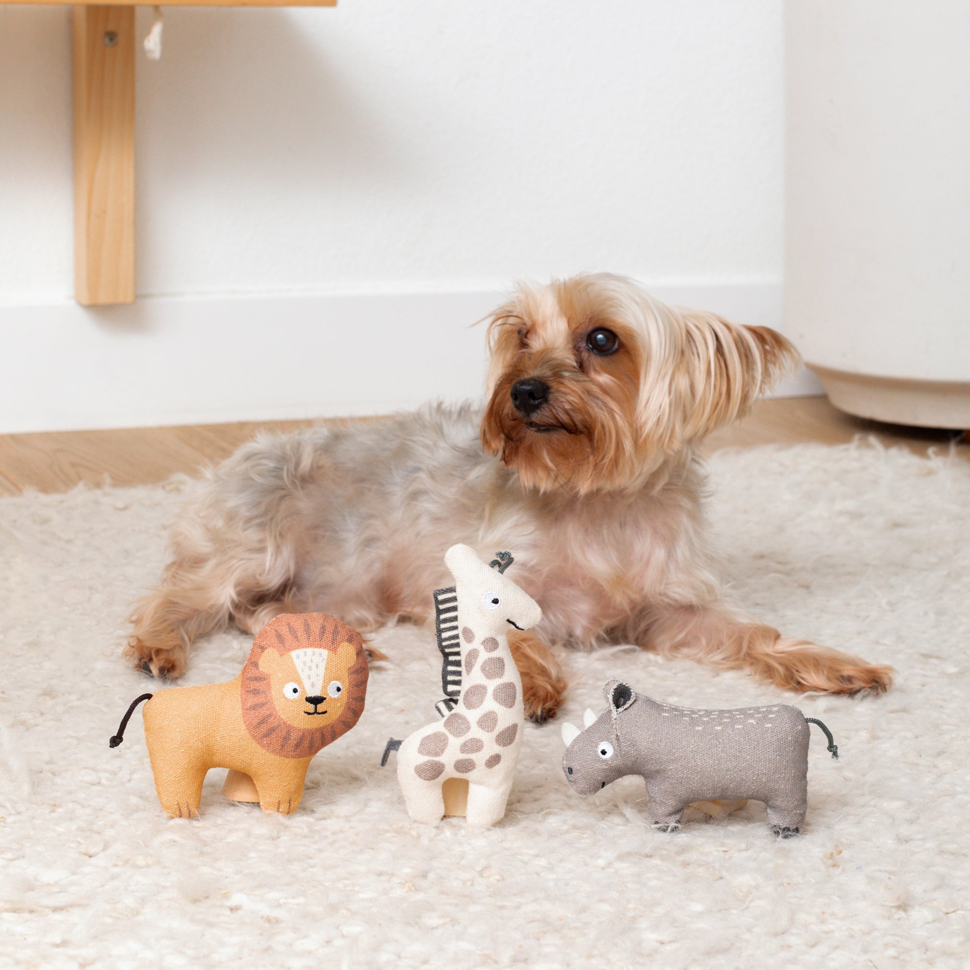 Feeling Wild 3pc Mini Canvas Dog Toy Set