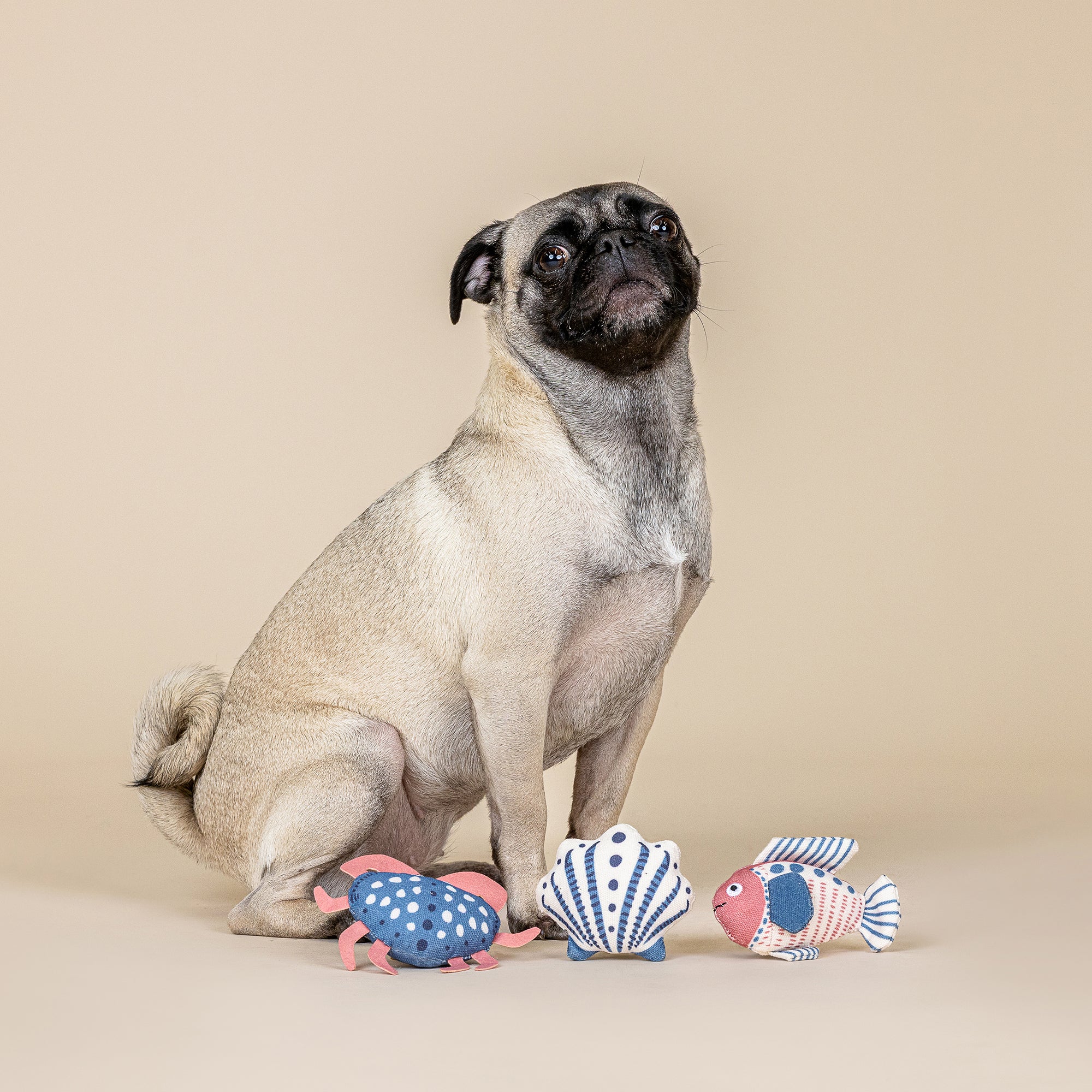 High Tides Good Vibes 3pc Mini Canvas Dog Toys