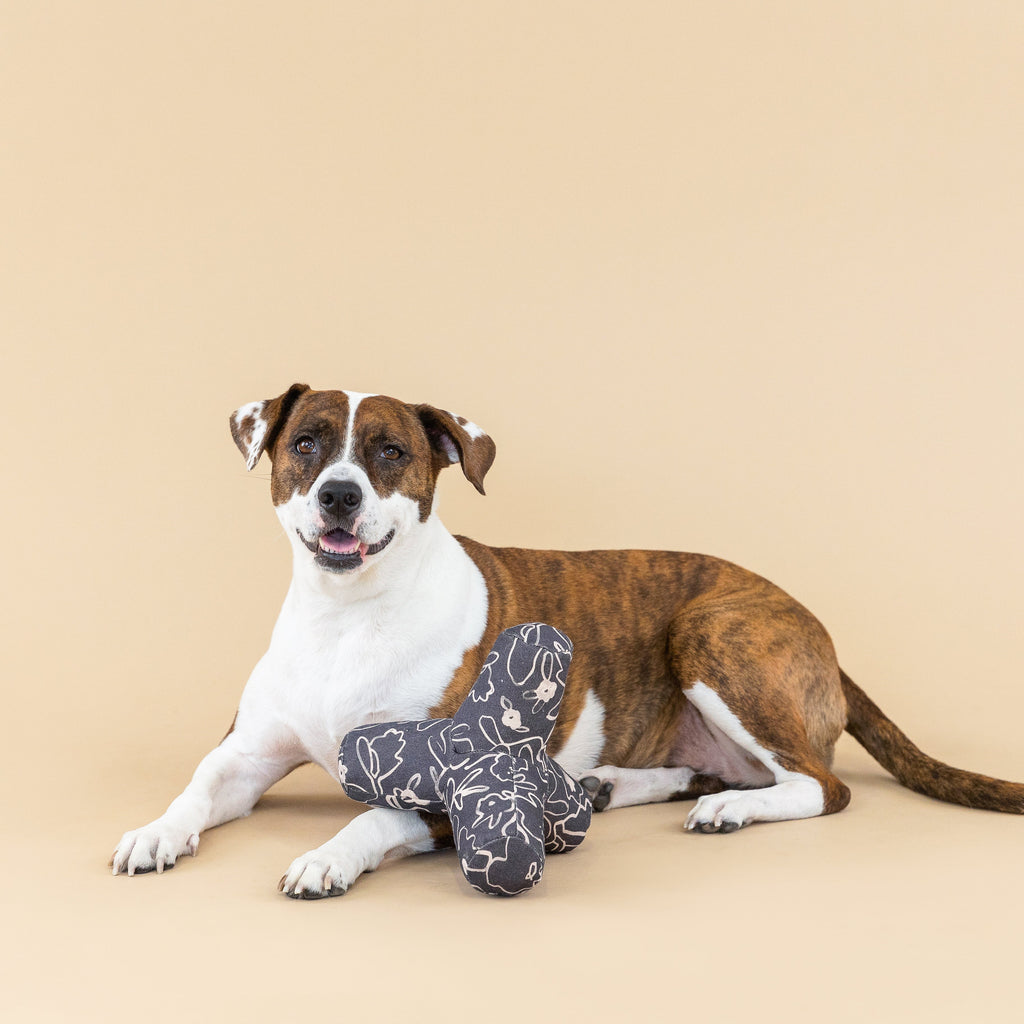 Game On Messy Flower Dog Toy