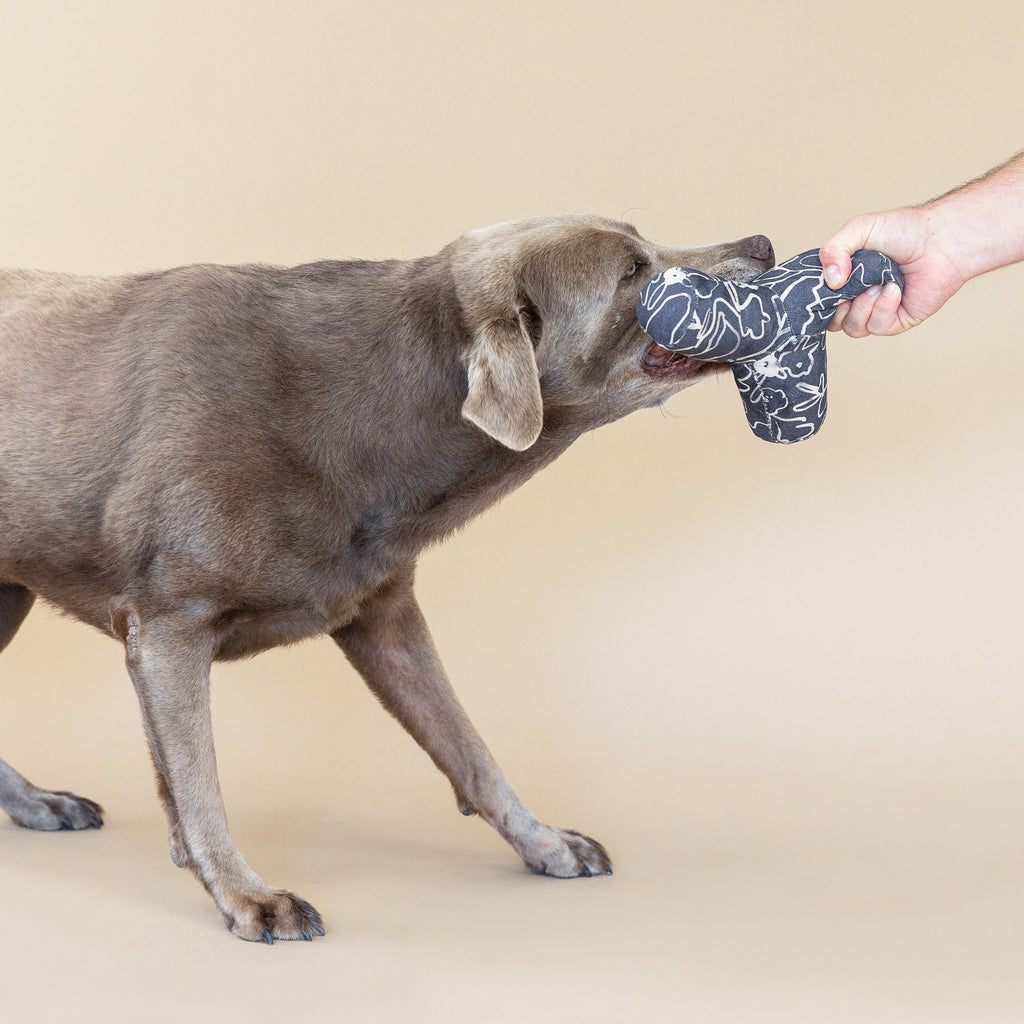 Game On Messy Flower Dog Toy