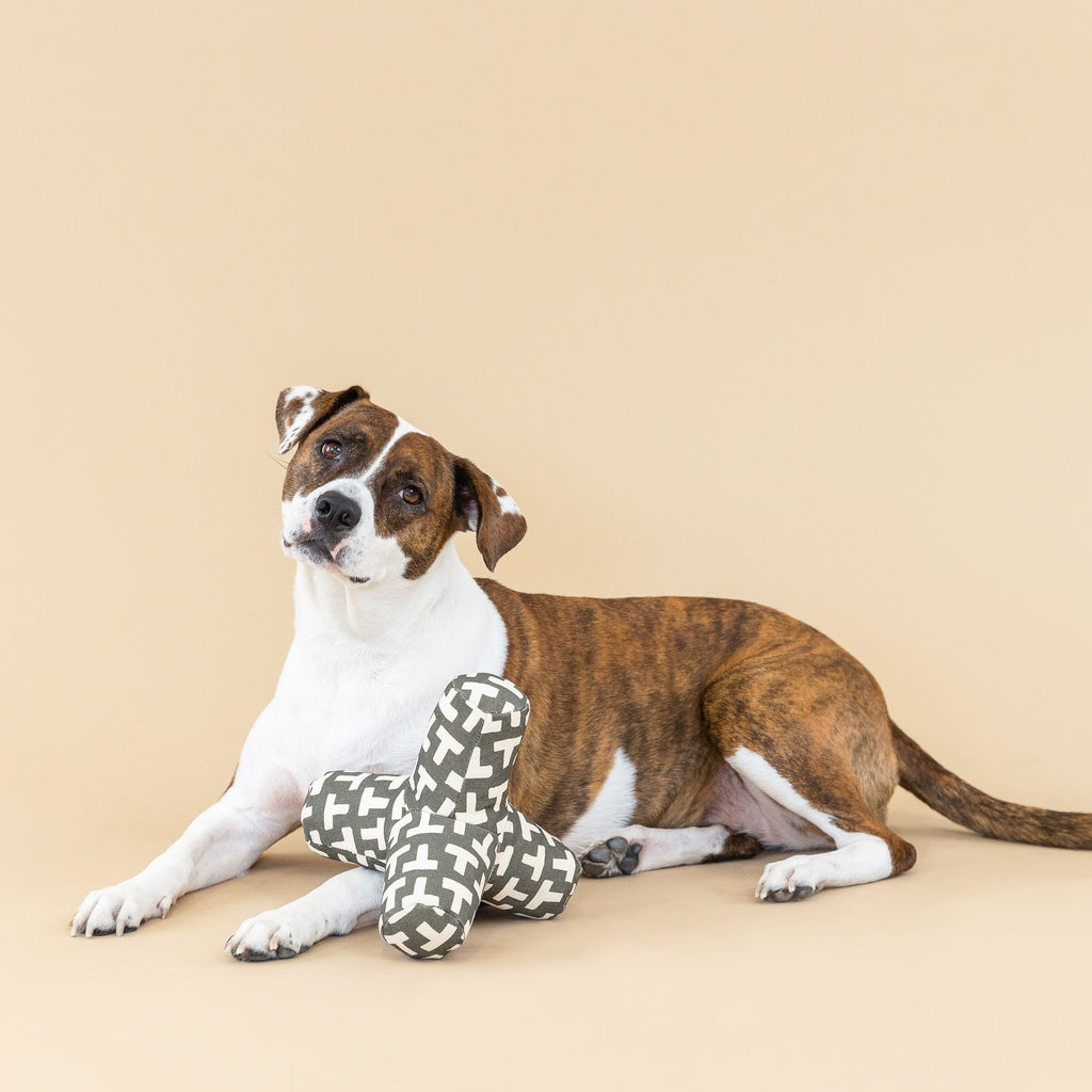 Game On Odette Dog Toy
