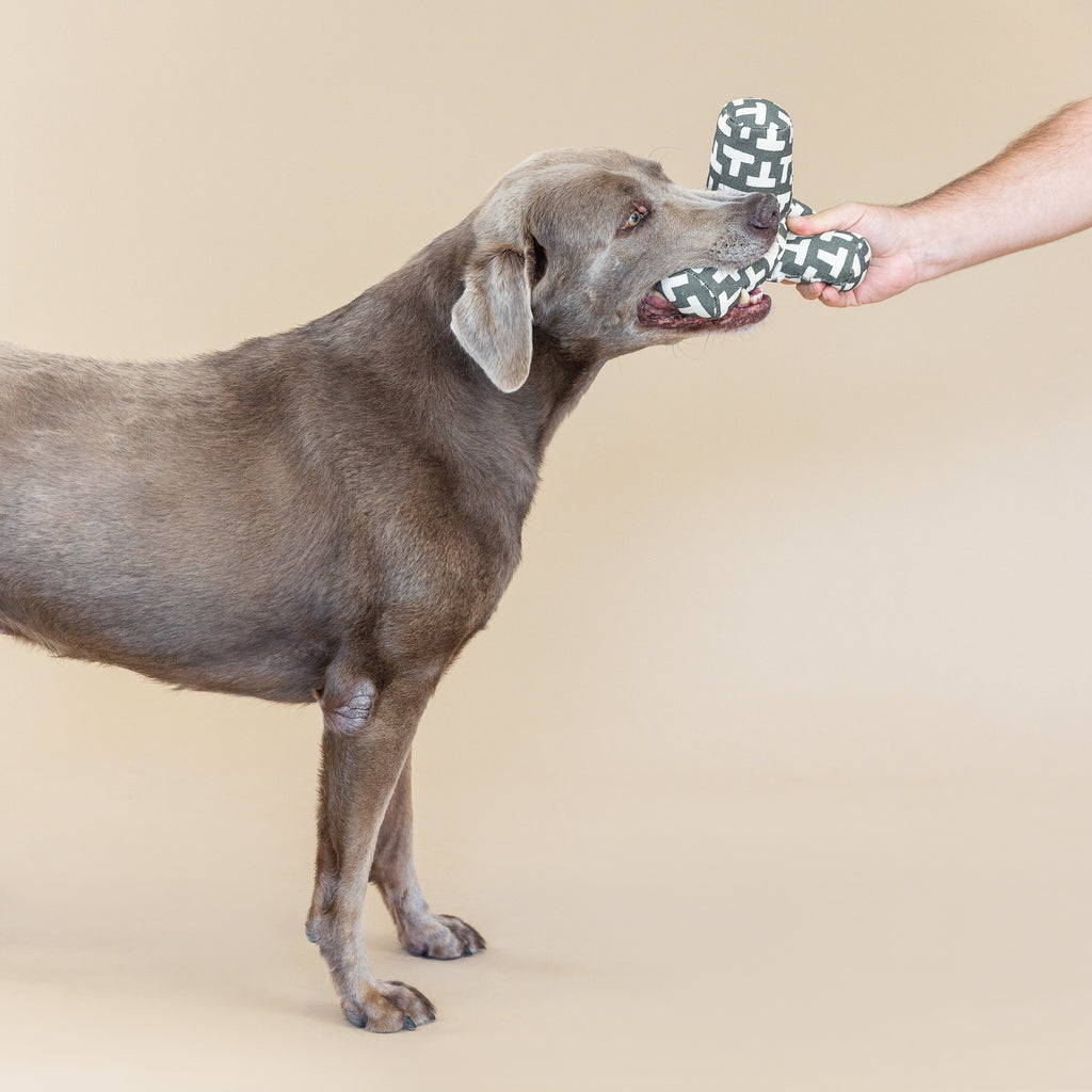 Game On Odette Dog Toy