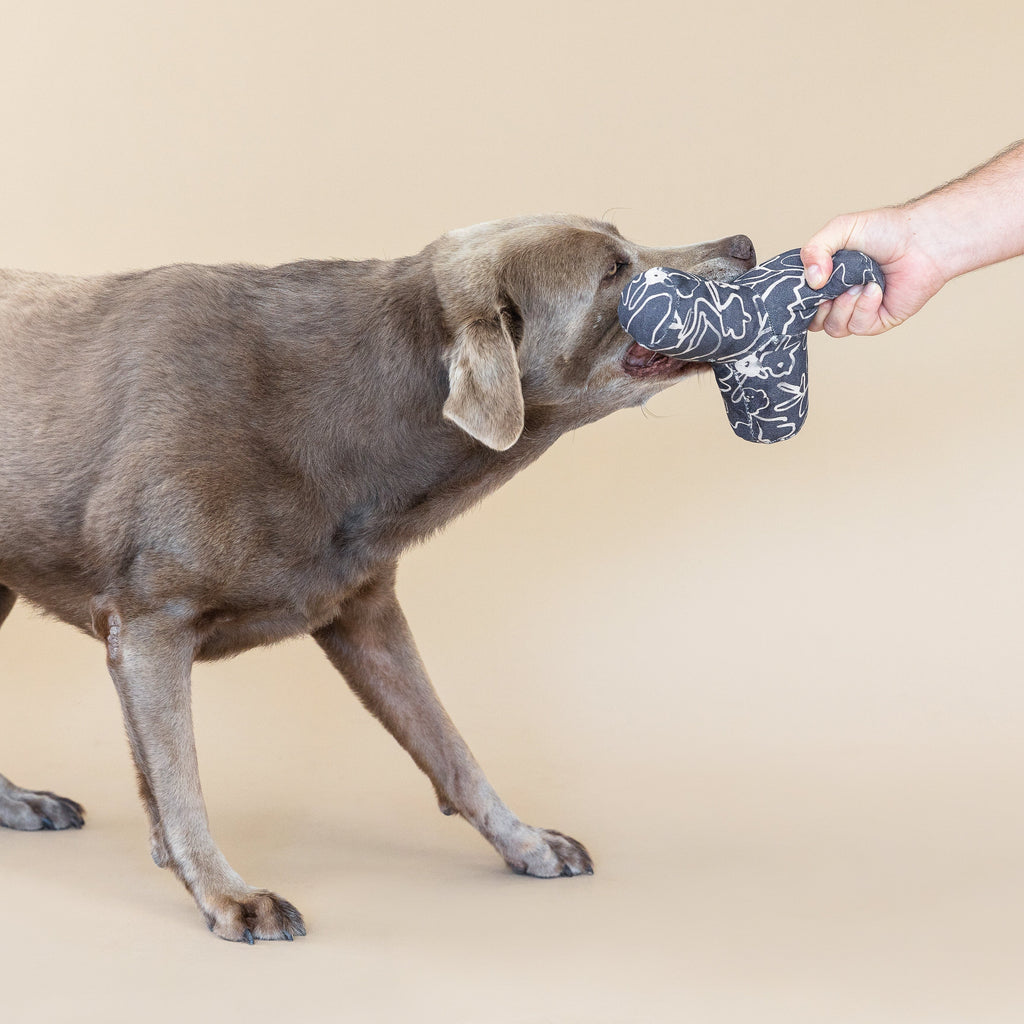Game On Odette Dog Toy