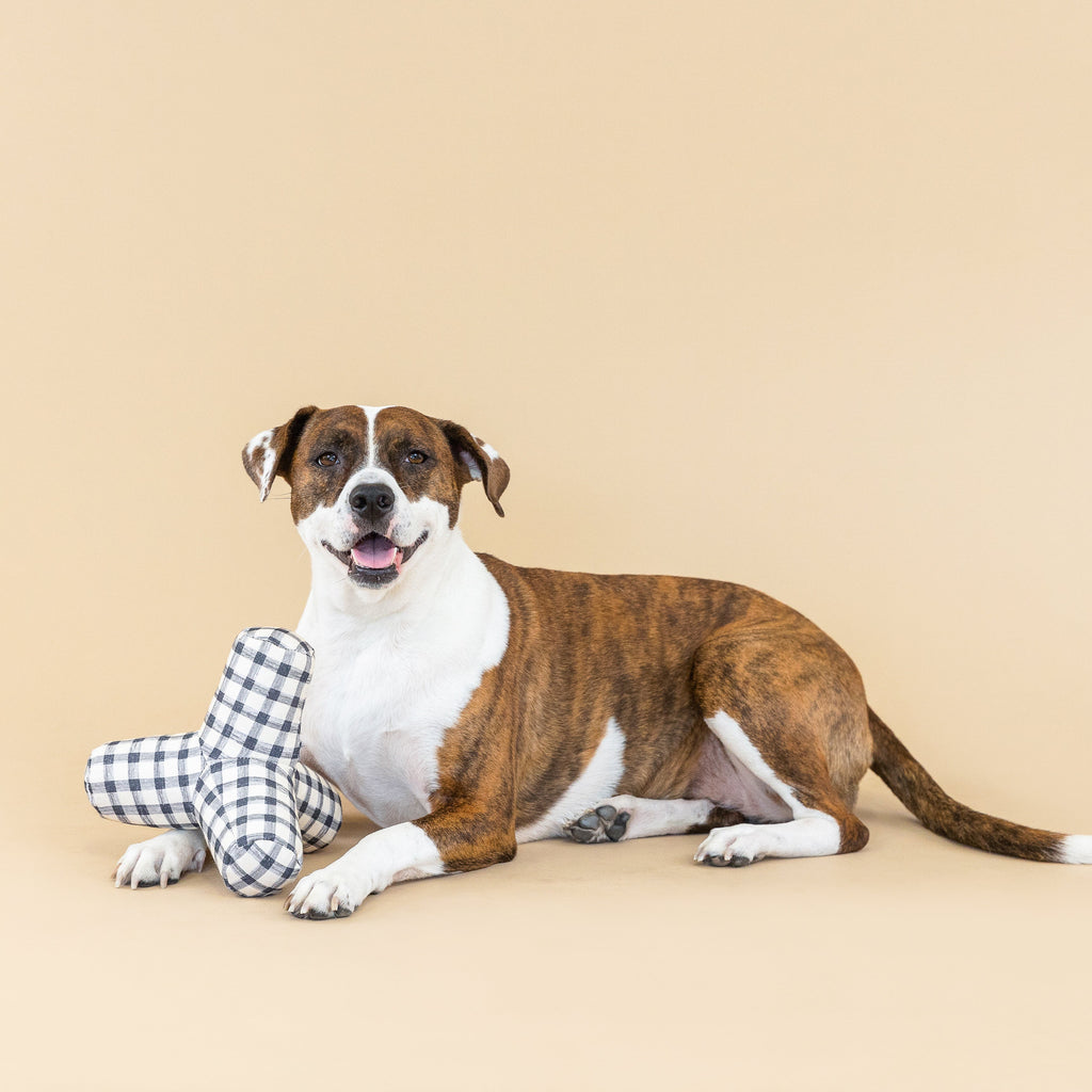 Game On Painted Gingham Dog Toy