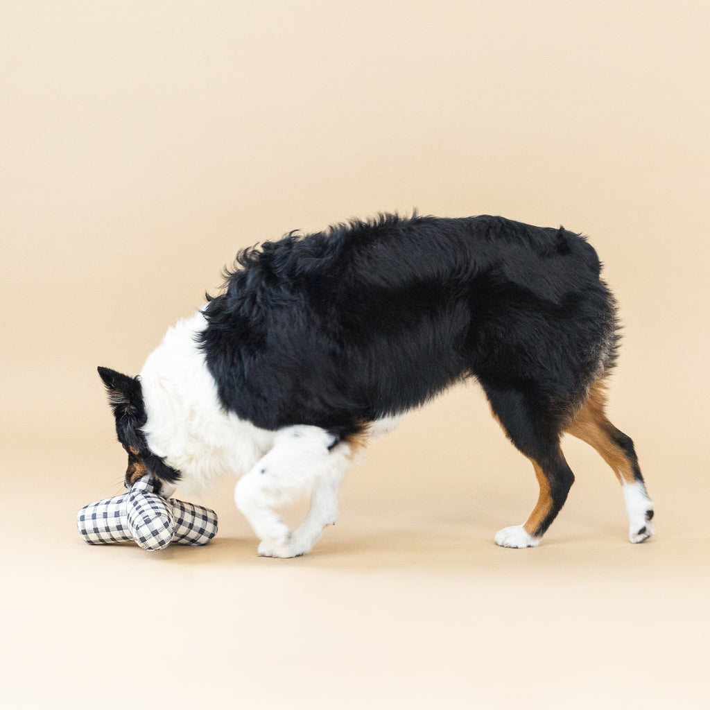 Game On Painted Gingham Dog Toy