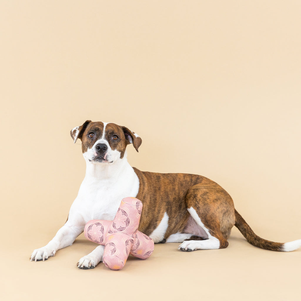 Game On Star Tile Dog Toy