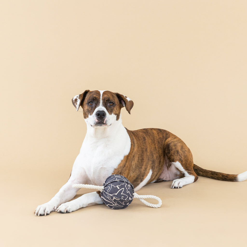 Pulling You In Messy Flower Dog Toy