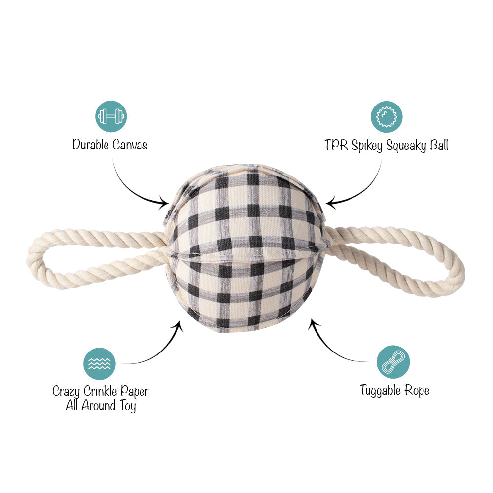Pulling You In Painted Gingham Dog Toy
