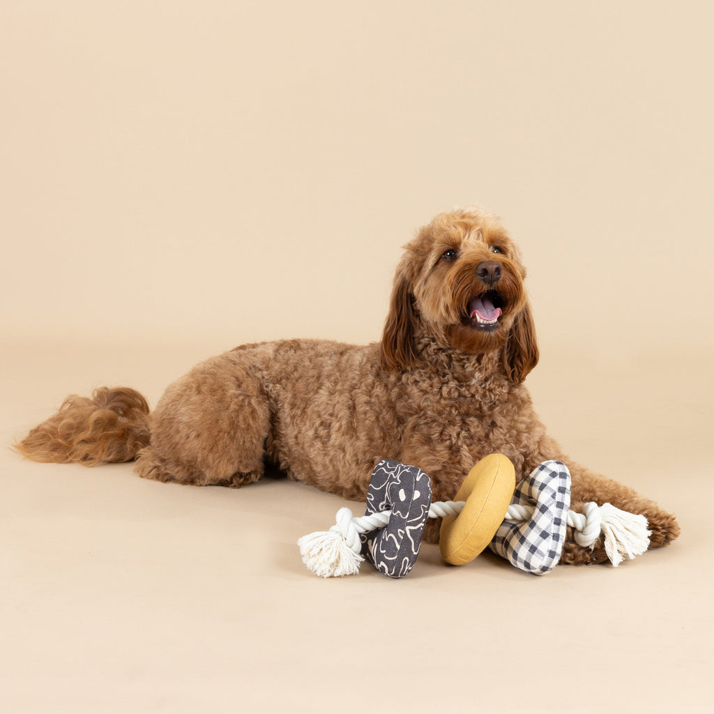Roped In Canvas Dog Toy
