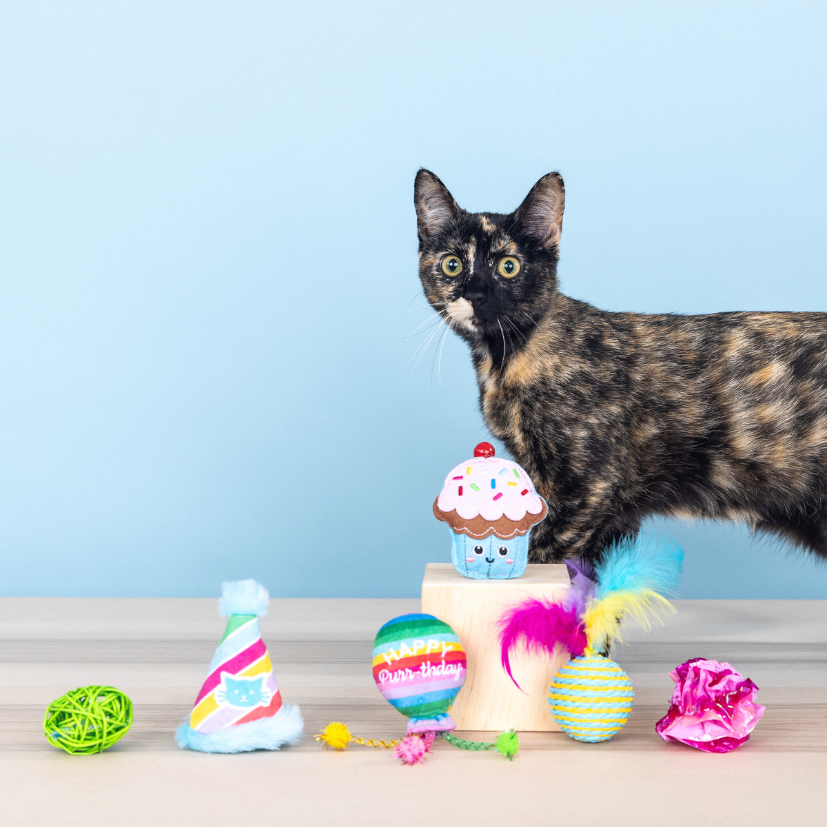 Happy Purr-Thday 6pc Cat Toy