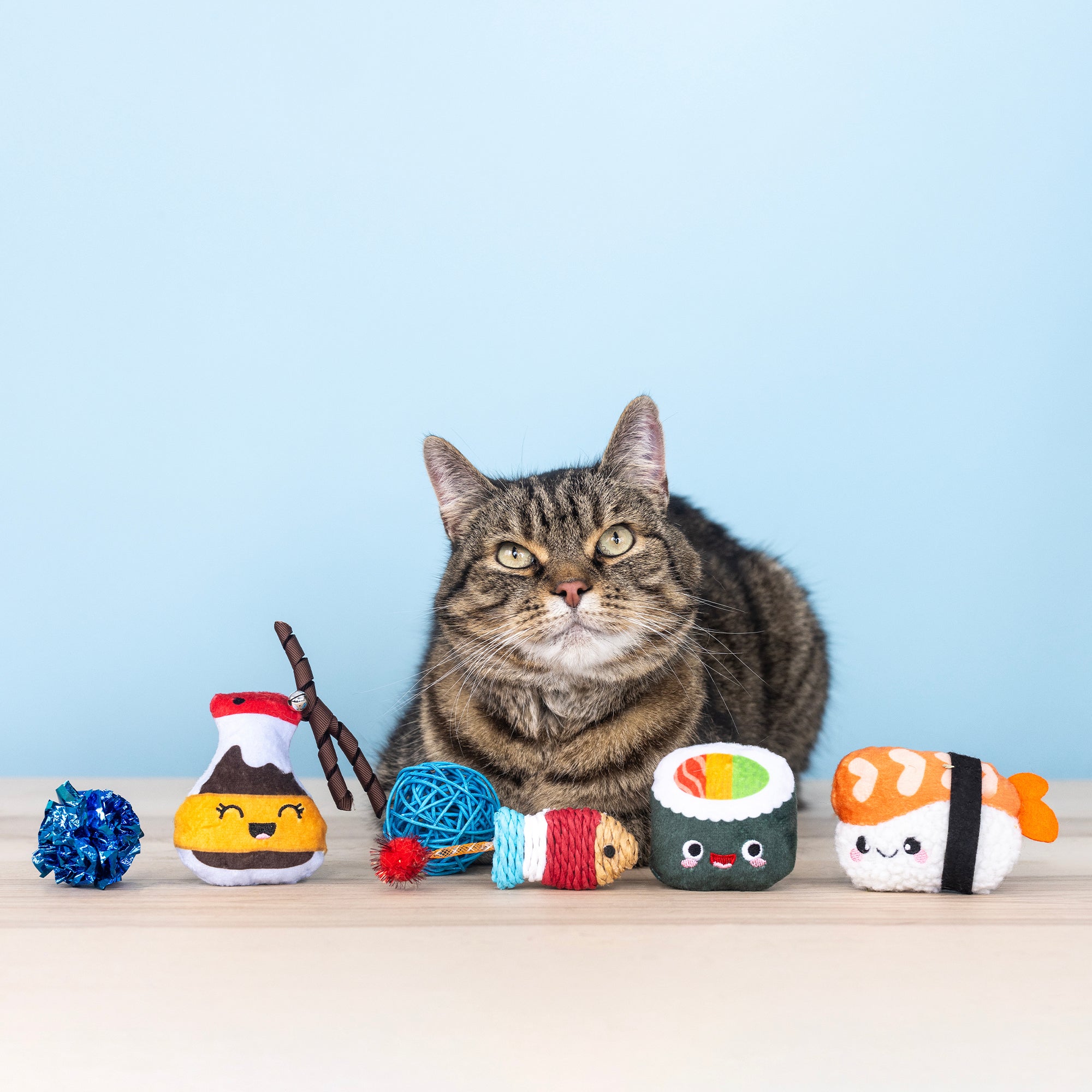 True Soymates 6pc Cat Toy Set