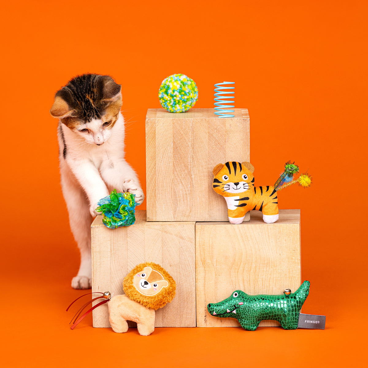 That's Just Grrrreat 6pc Cat Toy Set