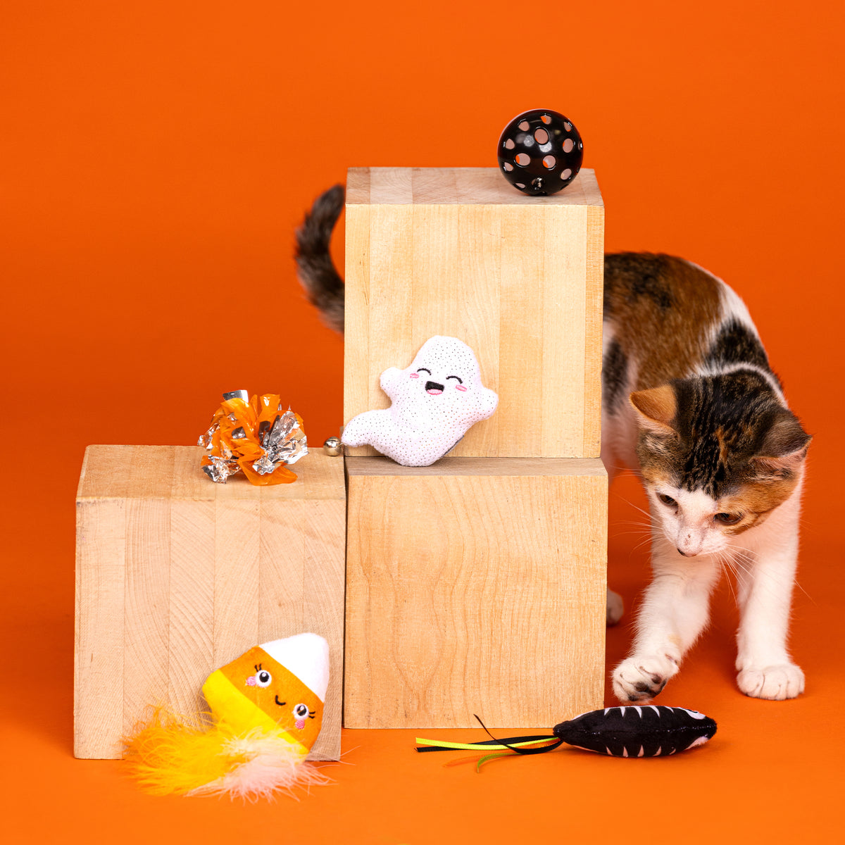 Sweet Treats, Spooky Feats 6pc Cat Toy Set