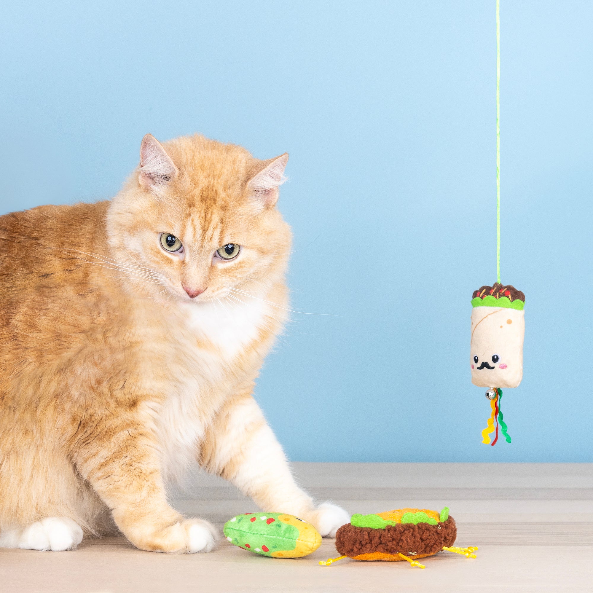 Feeling Like A Guac-Star 3pc Teaser Cat Toy Set