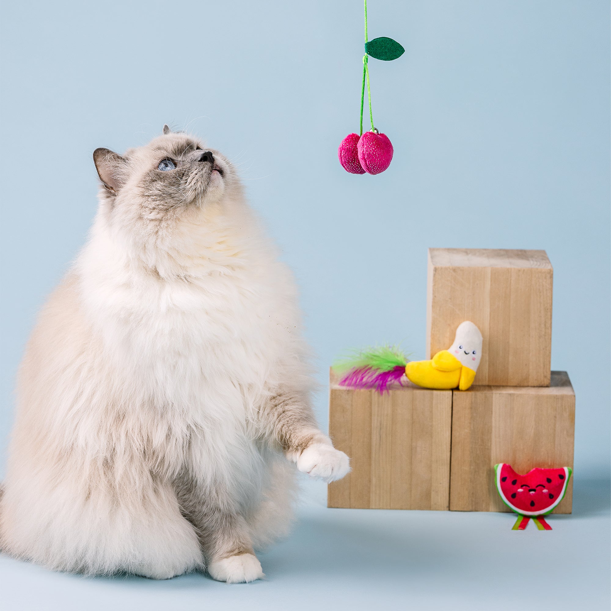 The Sweetest Bunch 3pc Cat Toy Set