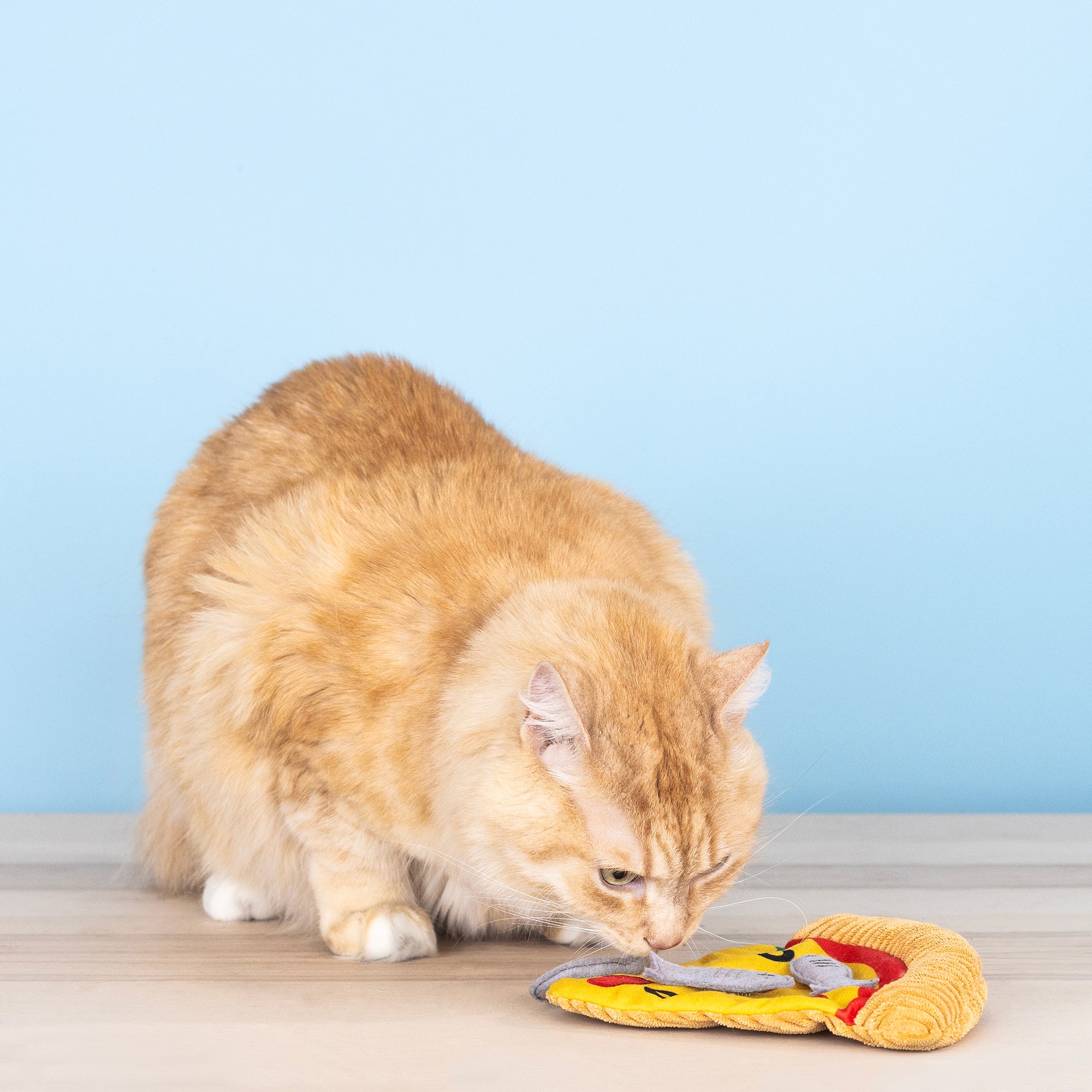Peppurroni & Sardines Please Puzzle Cat Toy
