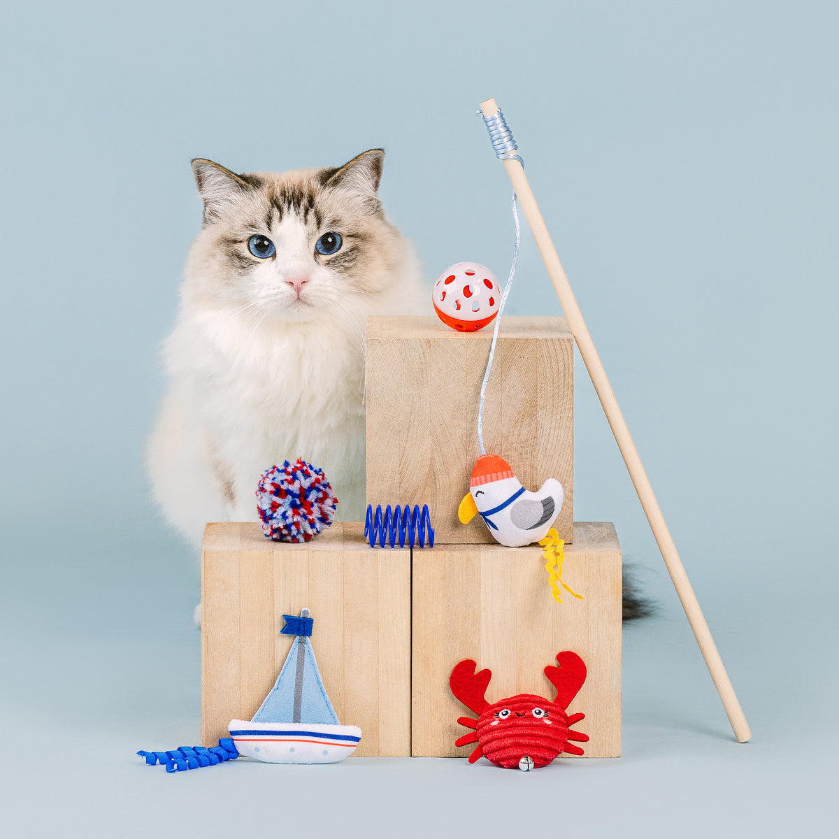 This Shore is Fun! 6pc Cat Toy Set