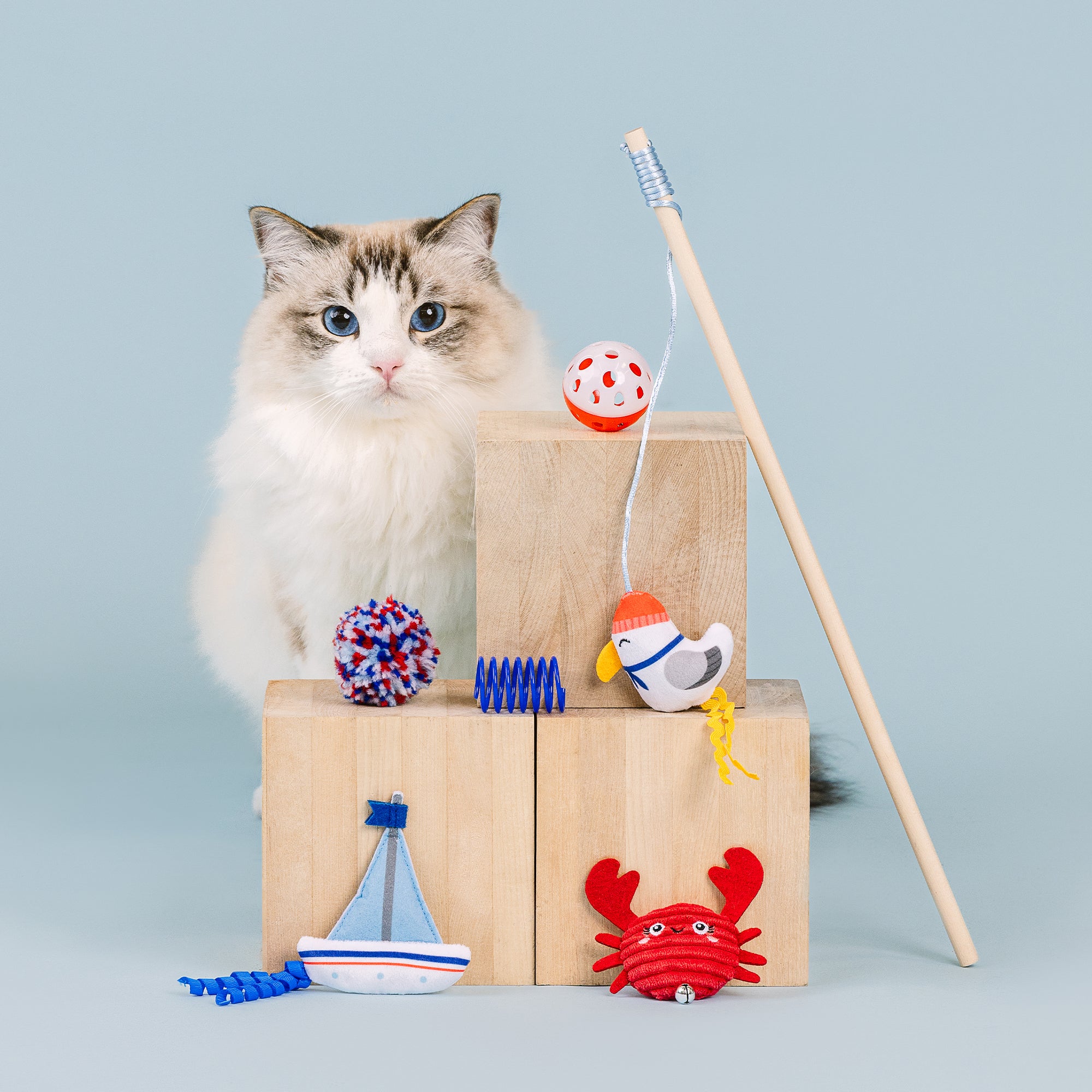 This Shore is Fun! 6pc Cat Toy Set
