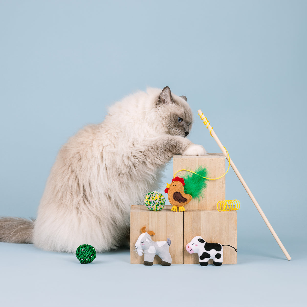 Pasture Pals 6pc Cat Toy Set