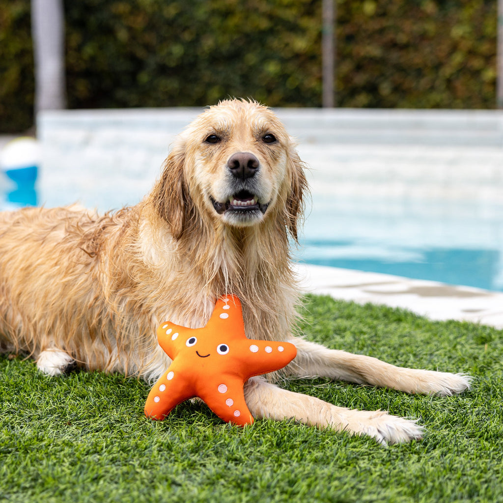 Shelly Floating Dog Toy