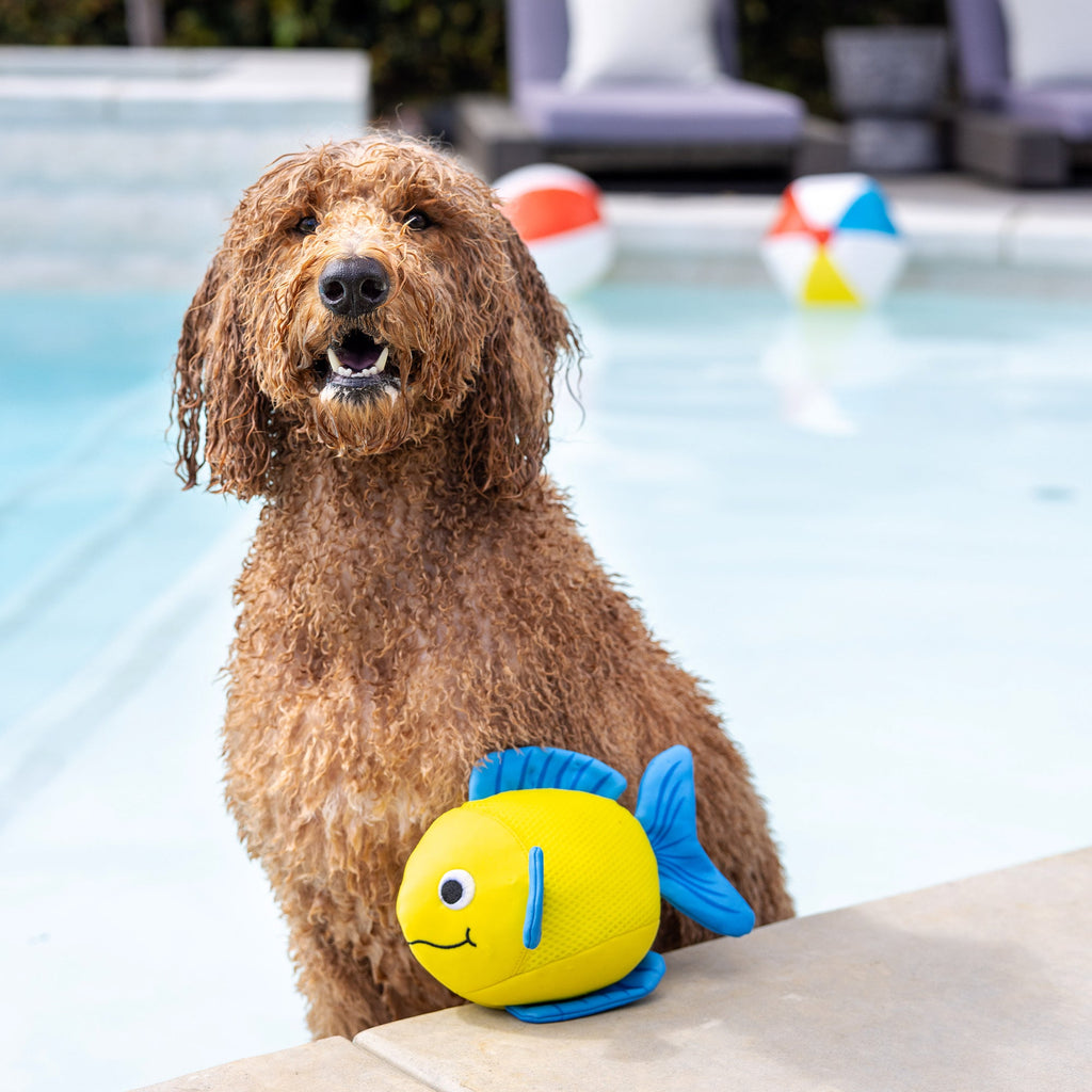 Pipsqueak Floating Dog Toy