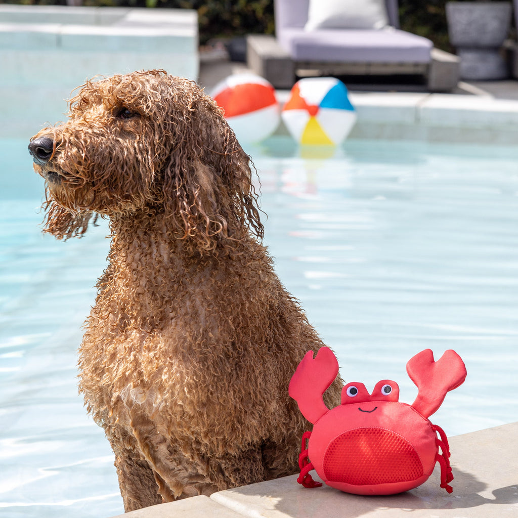 Claws Floating Dog Toy
