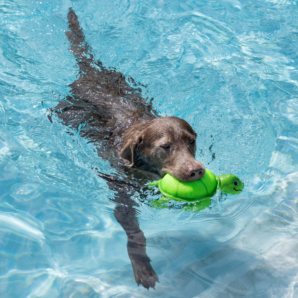 Snappy Floating Dog Toy
