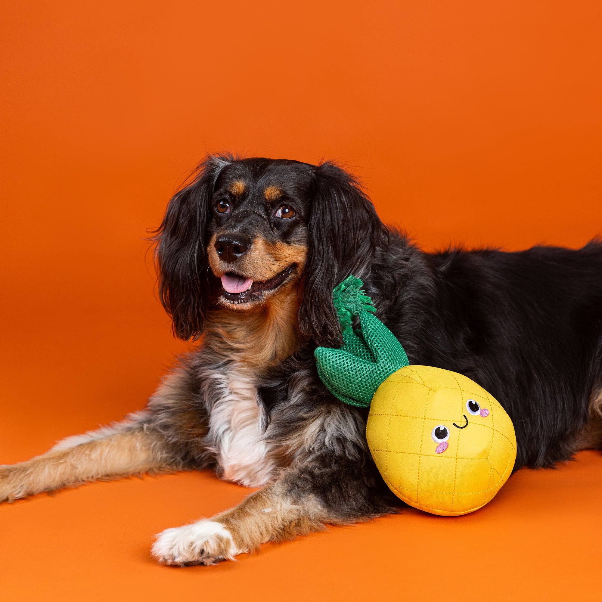 The Water Is Just Pine Floating Dog Toy