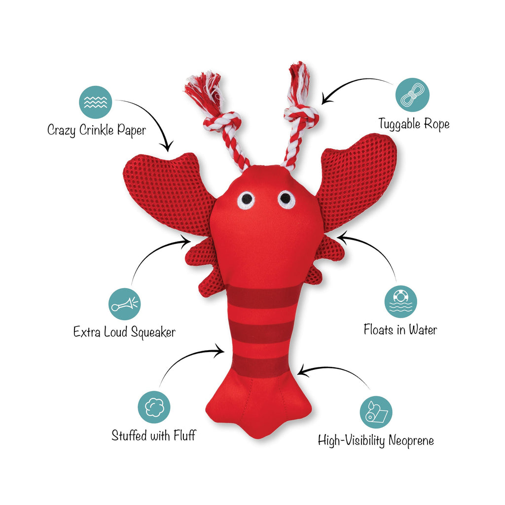 Feeling Claw-Some Floating Dog Toy