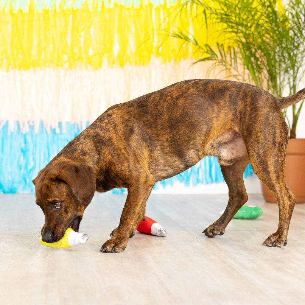 Grrritos Mini Dog Toys