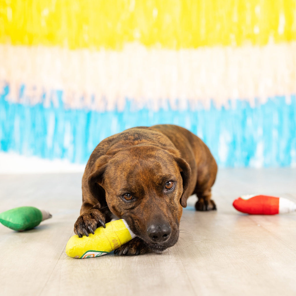 Grrritos Mini Dog Toys