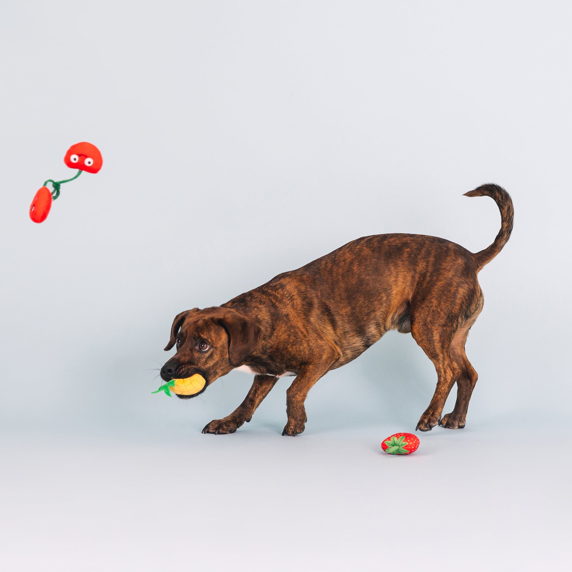 Don't Panic, We'Re Organic Mini Toys