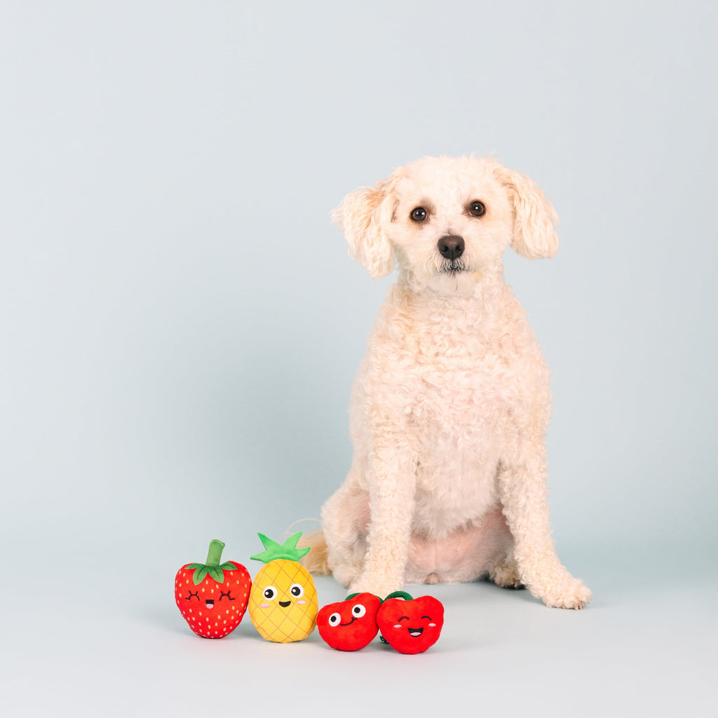 Don't Panic, We'Re Organic Mini Toys