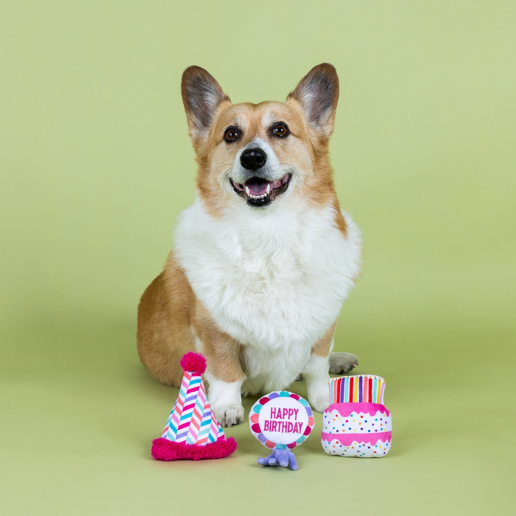 Can I Get A Woof-Woof! 3pc Mini Plush Dog Toy Set
