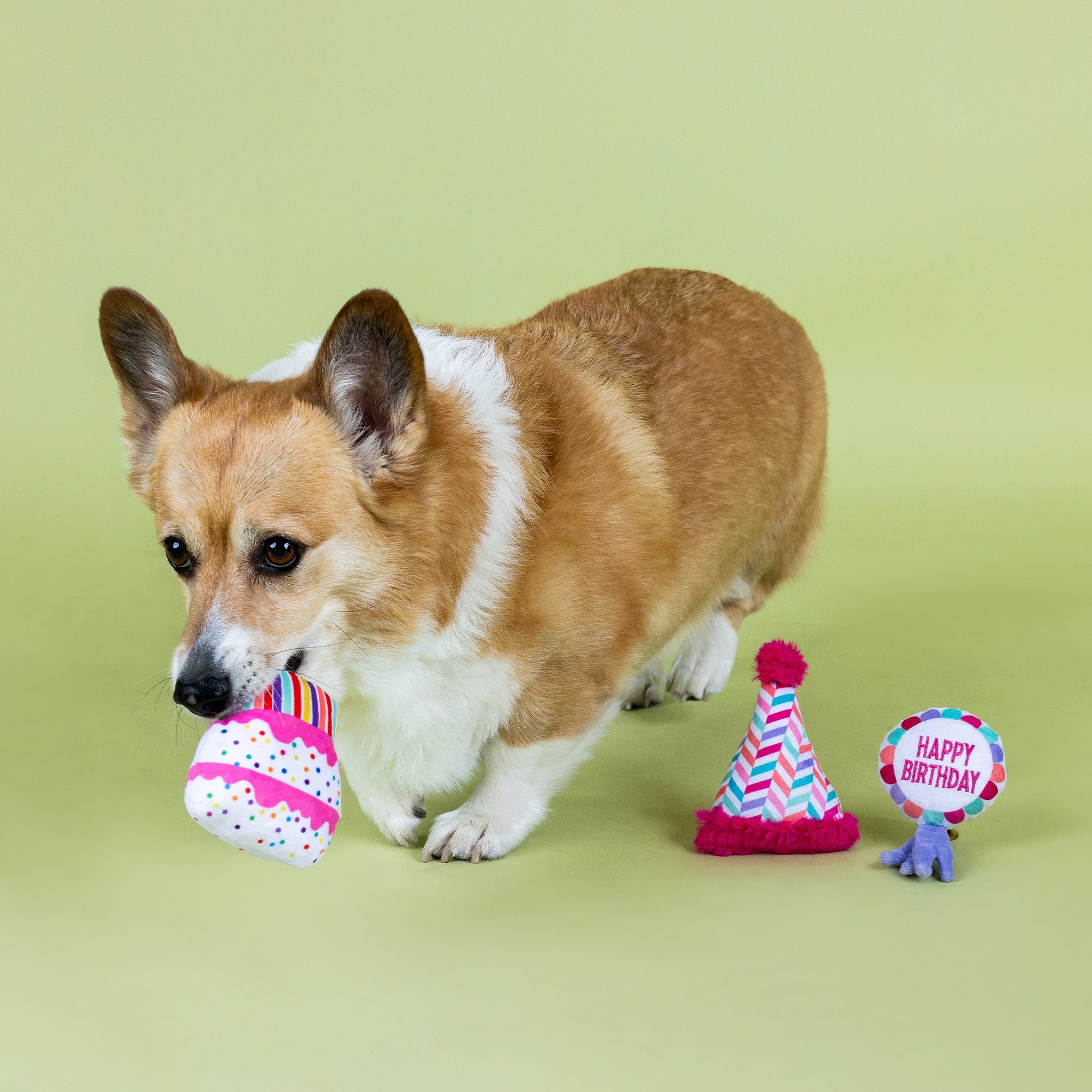 Can I Get A Woof-Woof! 3pc Mini Plush Dog Toy Set