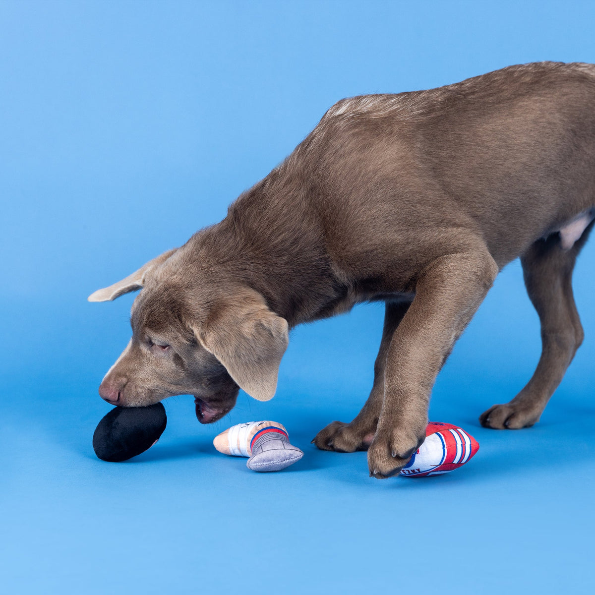 Wagsdale Go For The Goal 3pc Mini Plush Dog Toy Set