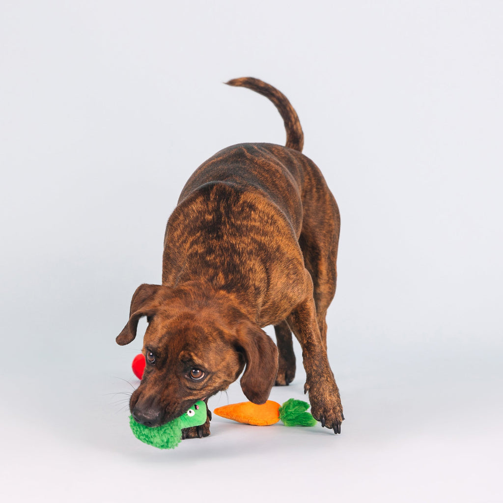 Farm To Table Mini Toys