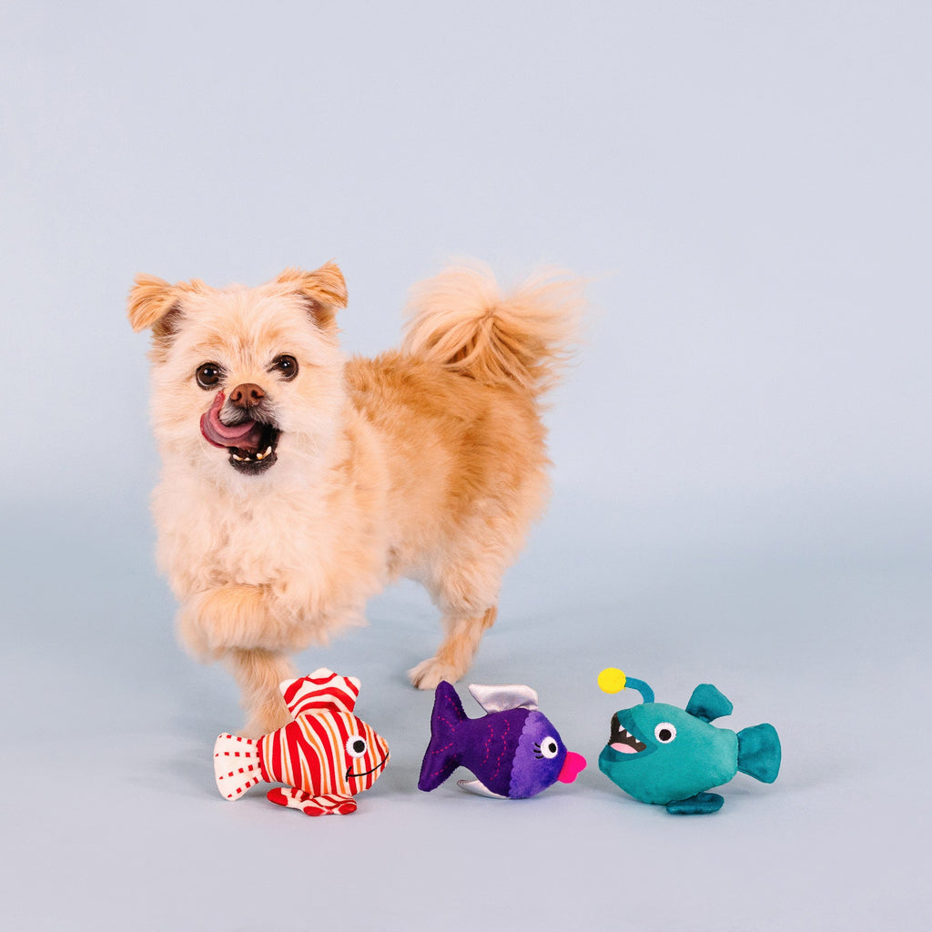 Any Fin Is Possible Mini Dog Toys
