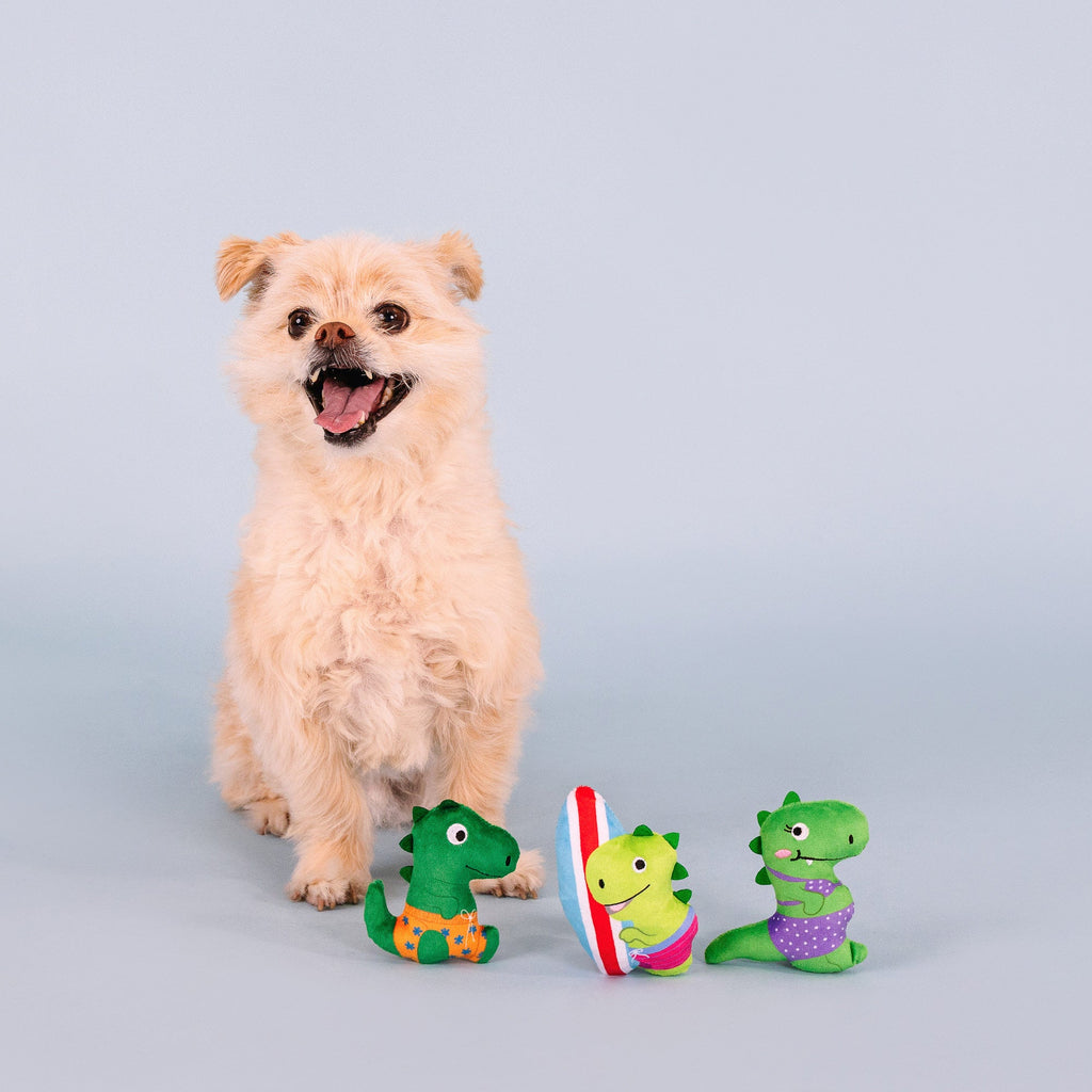 Rawr-Ing Summer Mini Toys