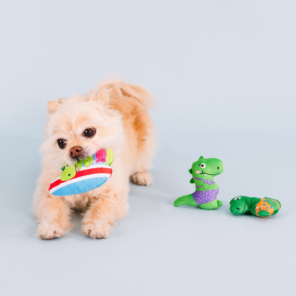 Rawr-Ing Summer Mini Toys