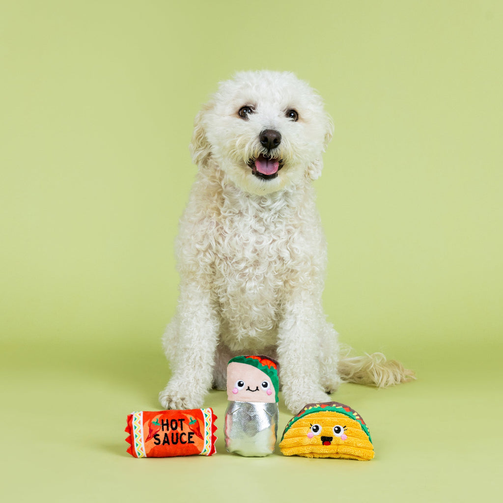 I Got The Hots For You Plush Dog Toy