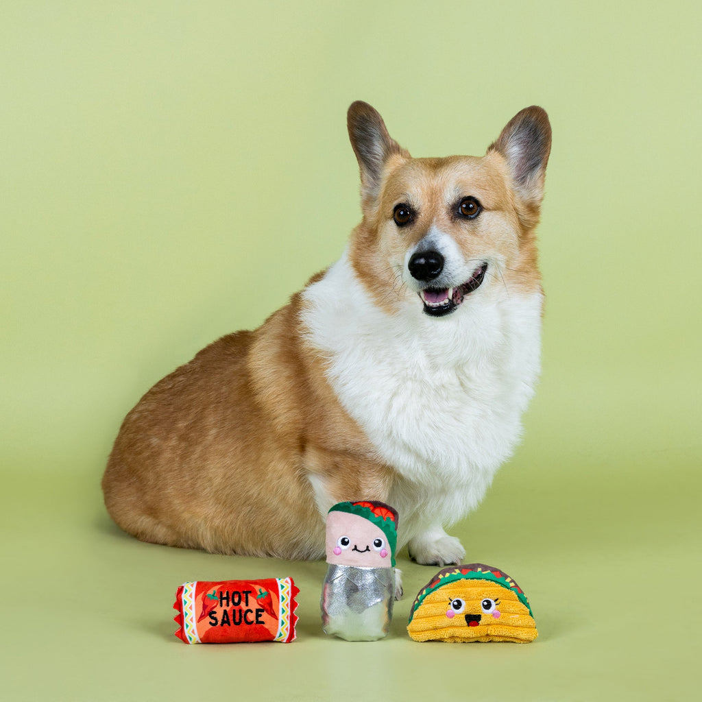 I Got The Hots For You Plush Dog Toy